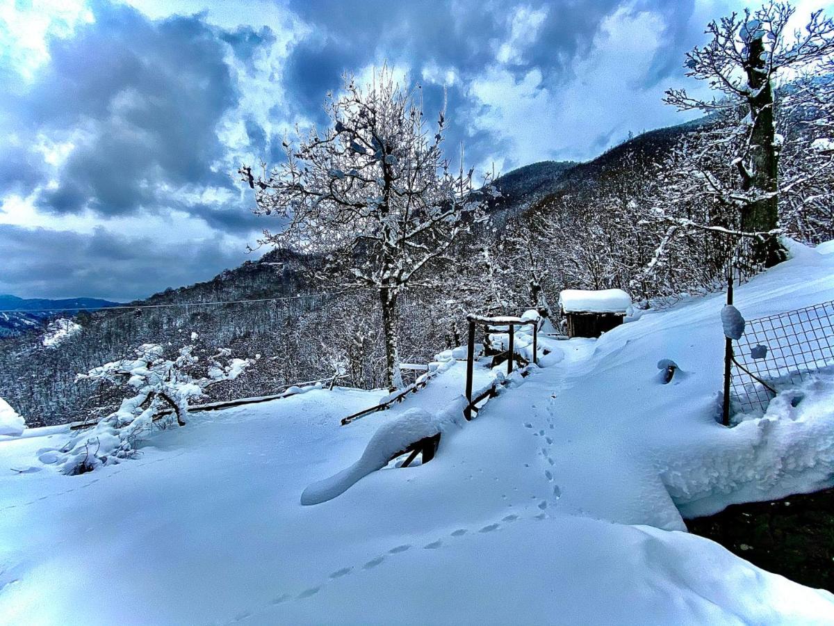 B&B La Presa Molino del Pallone Exteriér fotografie