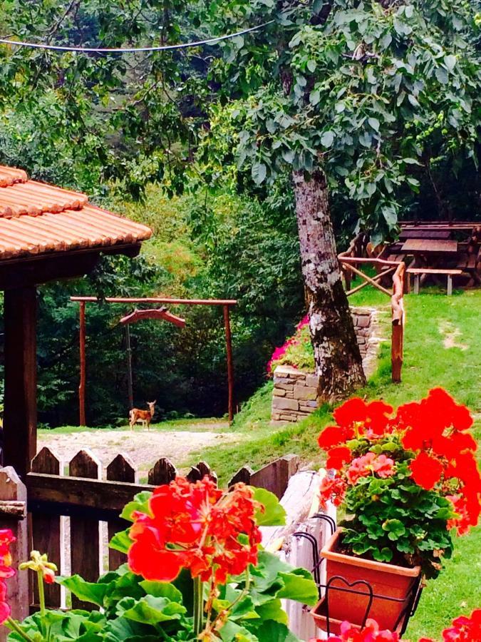 B&B La Presa Molino del Pallone Exteriér fotografie